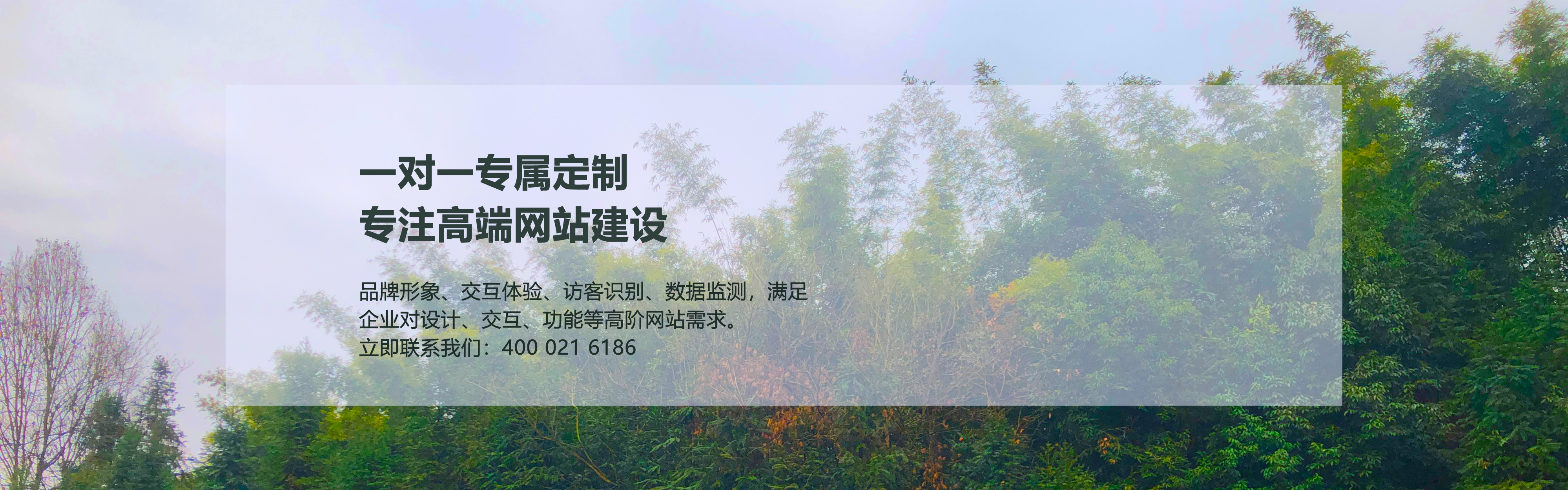 宜宾网站建设公司